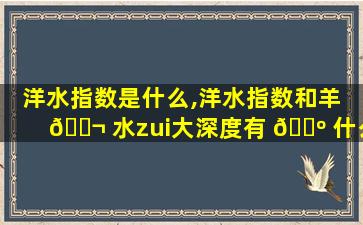 洋水指数是什么,洋水指数和羊 🐬 水zui
大深度有 🌺 什么区别